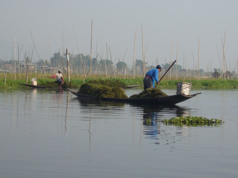 Travel - Myanmar - Inle Lake - First Boat Trip - Canals and floating villages